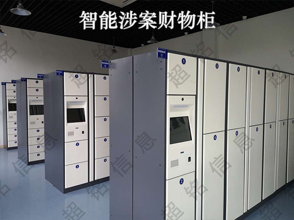 Project Name